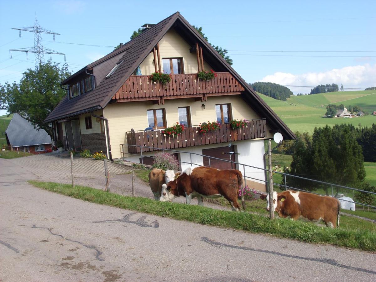 Duerrenbartleshof Appartement Breitnau Buitenkant foto